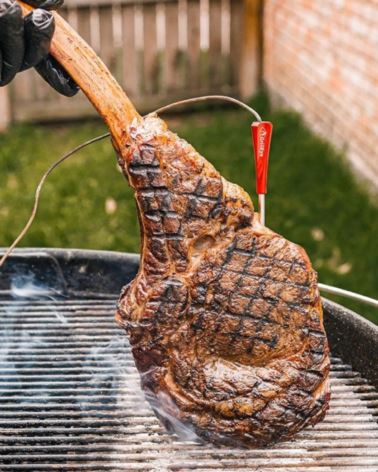 2 sondy GrillEye® IRIS™ do termometrów GrillEye