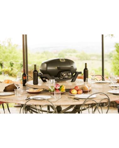 Grill gazowy Napoleon TRAVELQ PRO 285