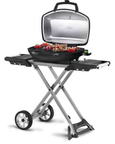 Grill elektryczny Napoleon TravelQ PRO285 EX