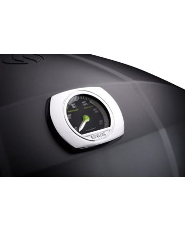 Grill gazowy Napoleon TRAVELQ 285X  z wózkiem