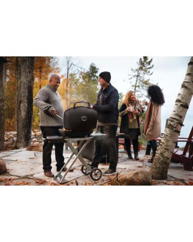 Grill gazowy Napoleon TRAVELQ 285X  z wózkiem